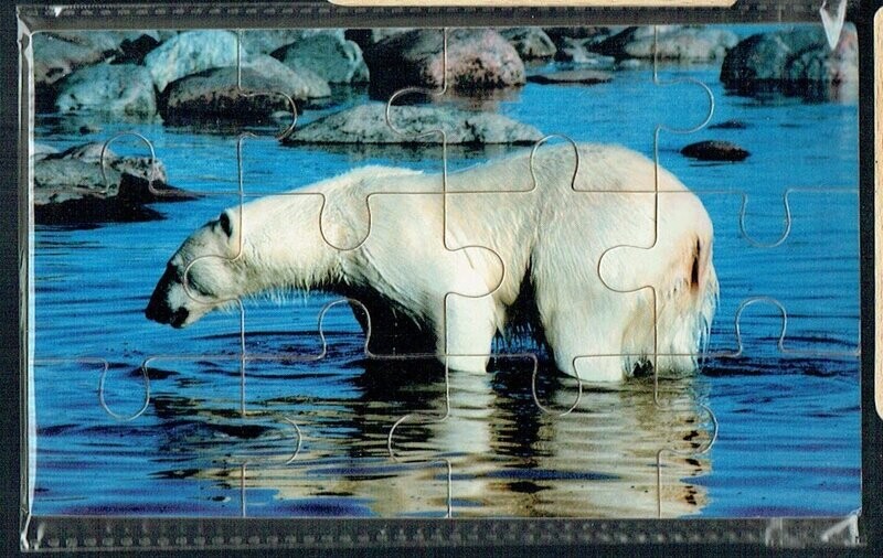 Puzzle en Bois, "L'Ours Blanc", 12 Pièces En Bois, avec une Épaisseur de 3mm, un Jeu en Bois pour éveiller les petits...