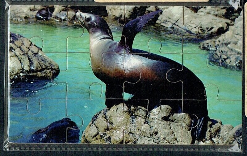 Puzzle en Bois, "L'Otarie", 12 Pièces En Bois, avec une Épaisseur de 3mm, un Jeu en Bois pour éveiller les petits...