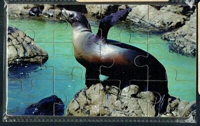 Puzzle en Bois, "L'Otarie", 12 Pièces En Bois, avec une Épaisseur de 3mm, un Jeu en Bois pour éveiller les petits...