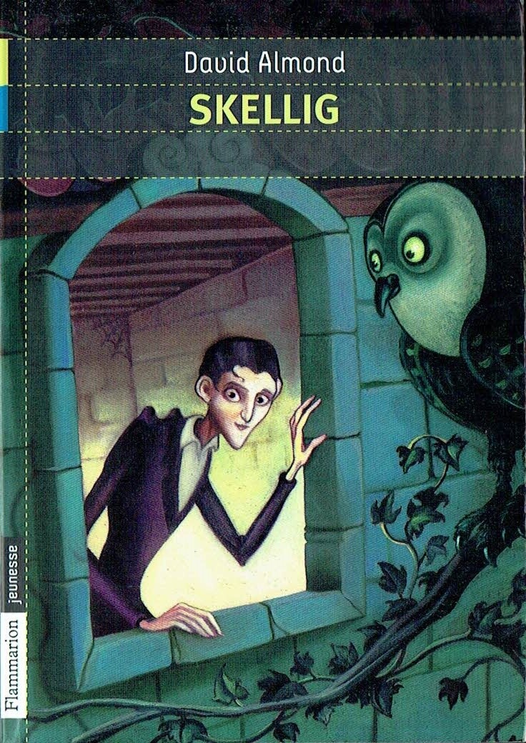 Un Déménagement, "SKELLIG", Michael, Une Nouvelle Maison, et une Rencontre, mais Tout va de Travers...