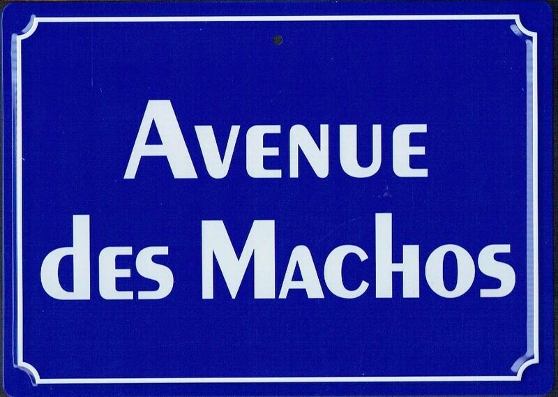 Plaque Imprimée "Avenue des Machos" - Sur Fond Bleu - 125 x 175 mm