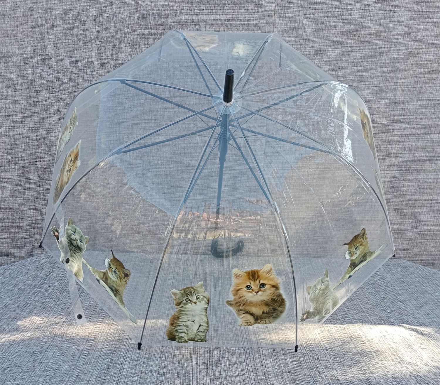 Parapluie Cloche Transparent Imprimé Chatons & Poignée Noire L85 et une Envergure de 90 cm