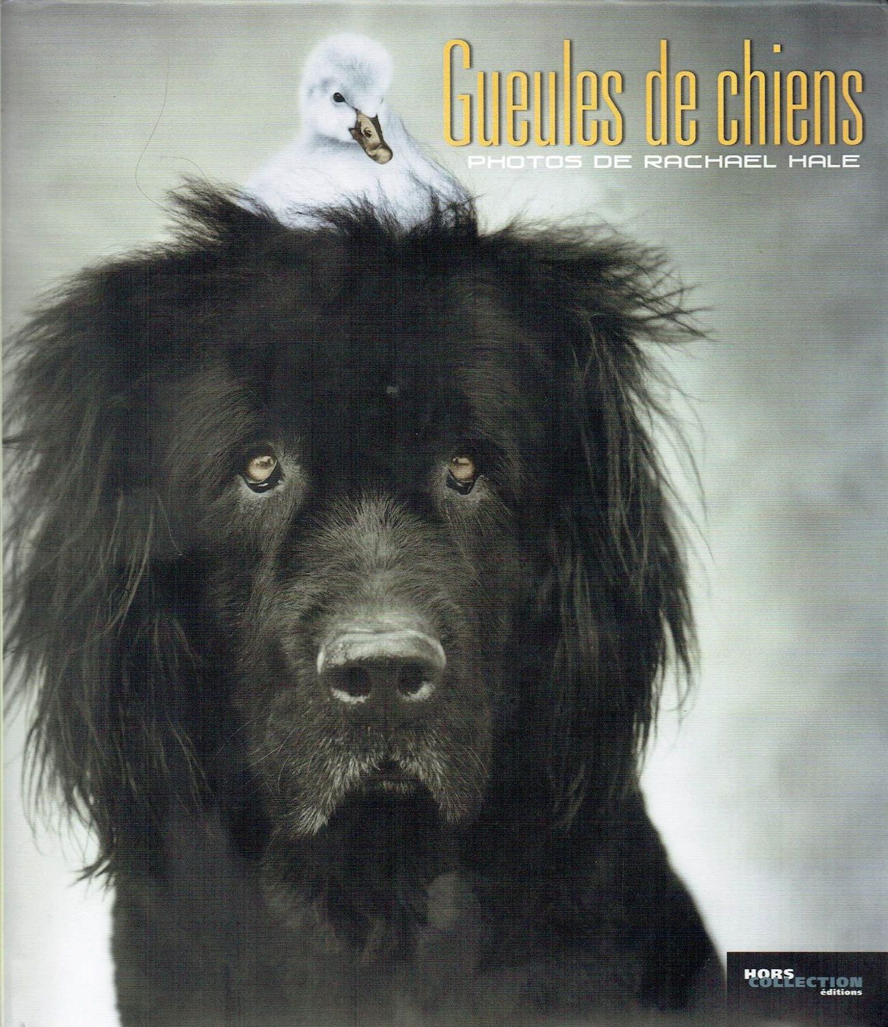 Hommage à 100 +1 Chiens "Gueule de Chiens", Nos Gardiens, Nos Protecteurs et nos Amis, Nous Donne et inspire l'Amour...