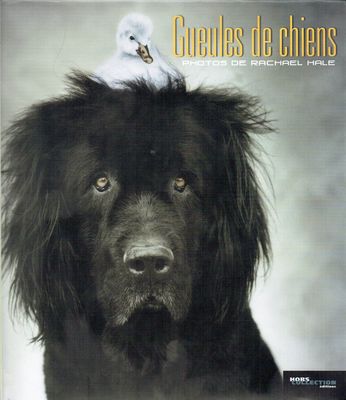 Hommage à 100 +1 Chiens "Gueule de Chiens", Nos Gardiens, Nos Protecteurs et nos Amis, Nous Donne et inspire l'Amour...