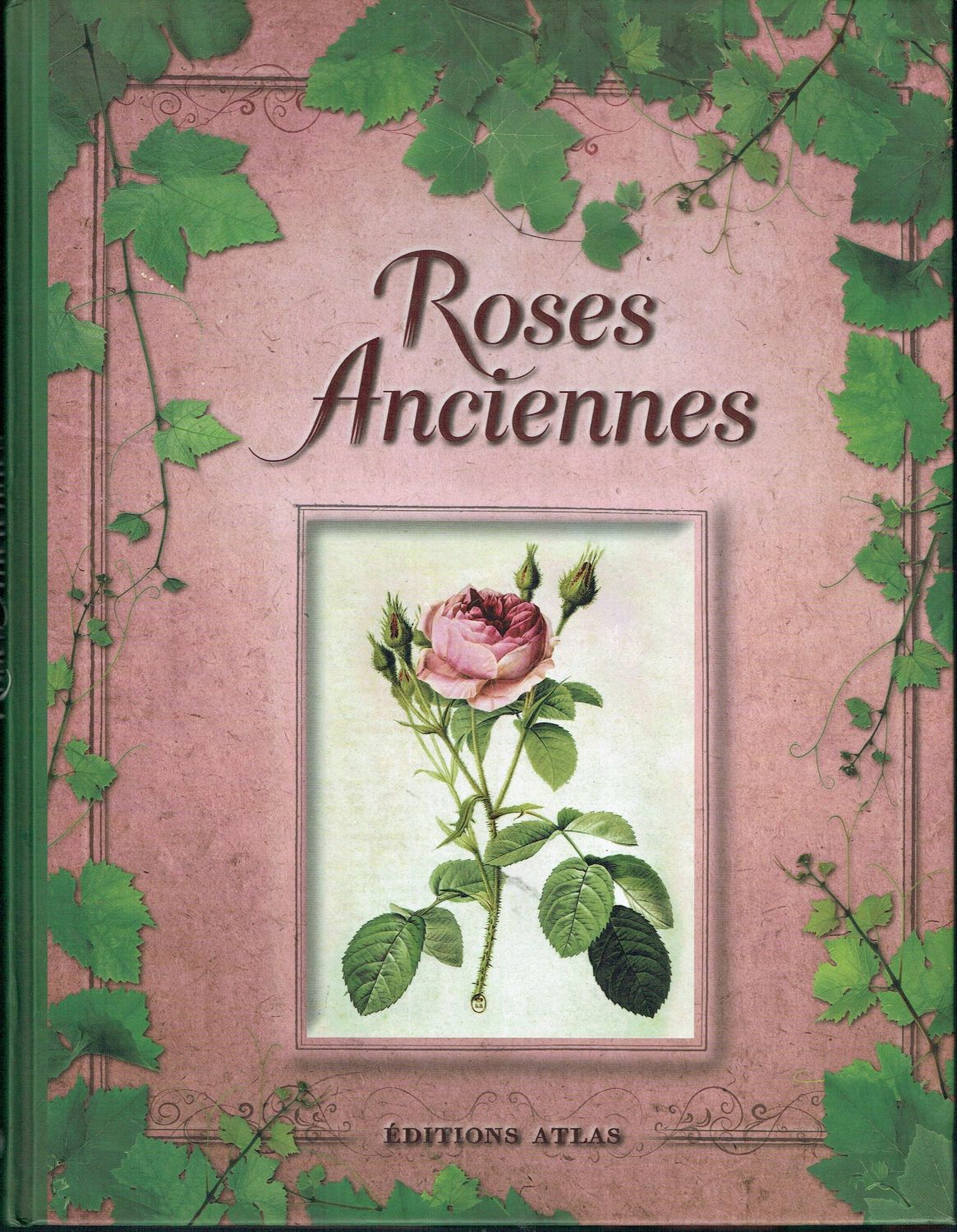 Atlas Botanique, "Roses Anciennes", 33 Fiches sur ces Roses, photo Représentant sa Beautée, sur une Page et sur l'autre page sa Fiche détaillant sa particularité, bien défini...