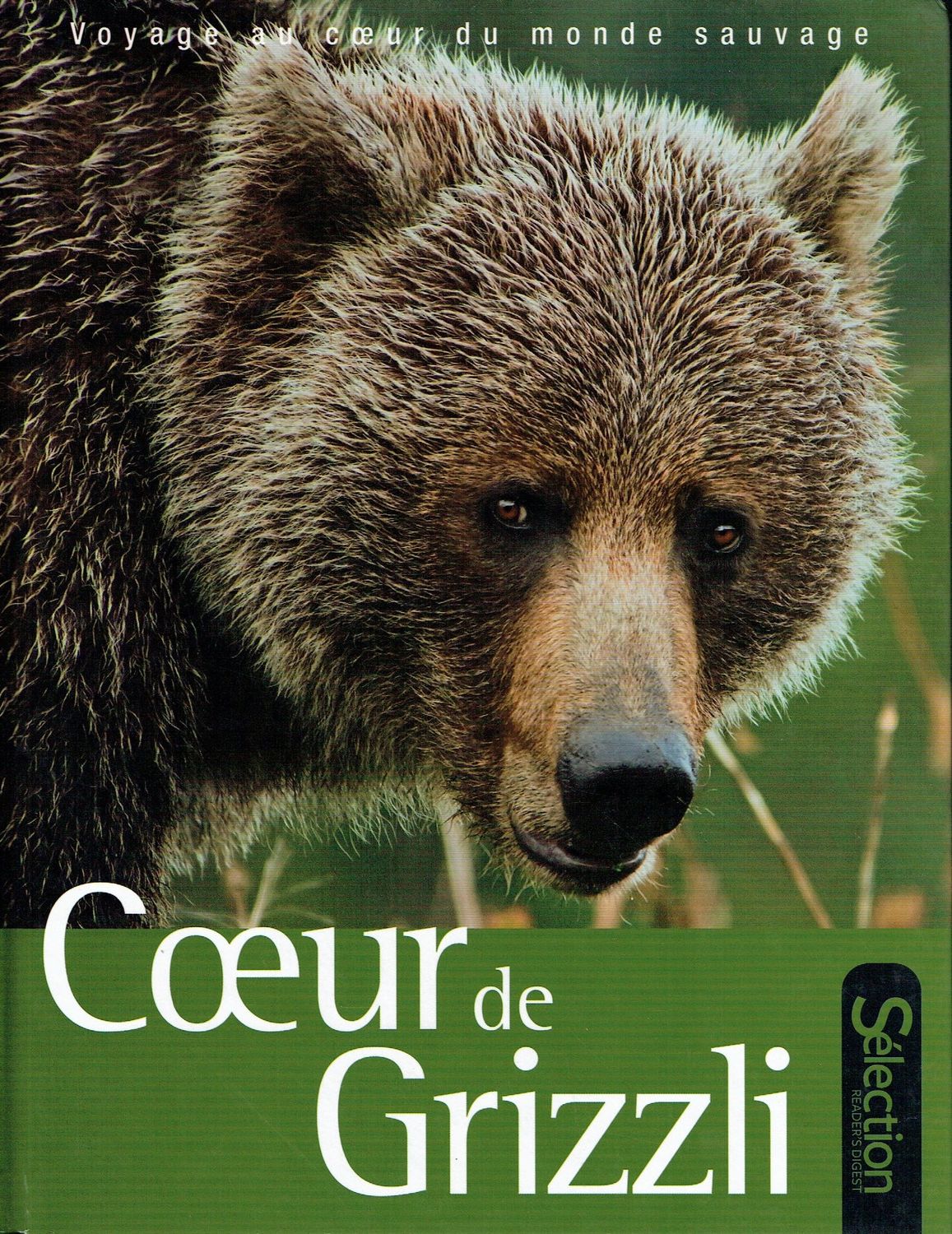 Le Monde Sauvage, "Au Coeur de Grizzli", Deux Naturaliste, Tombés Amoureux des Ours, Parte Sauvés Trois Petits Oursons d'un Zoo Russe...