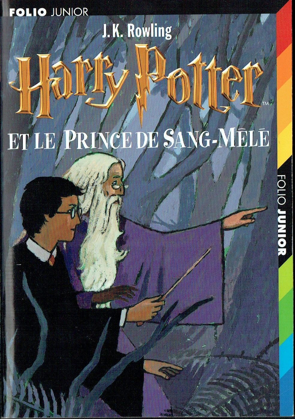Harry Potter Tome 6,  "Et Le Prince de Sang-Mêlé", Dans quels Extraordinaires Voyages au coeur de la Mémoire... Série Poche +750 Pages