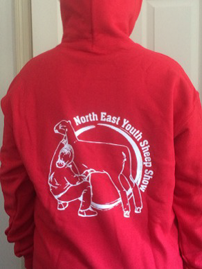 Youth Hooded Sweatshirt