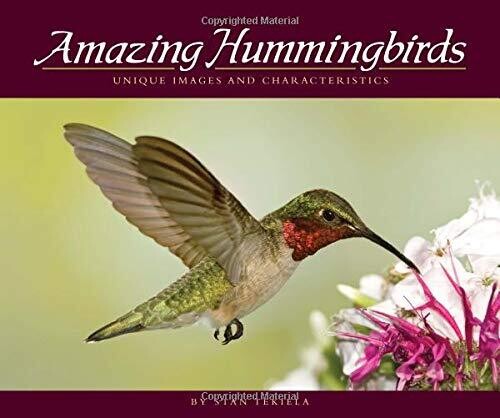 Amazing Hummingbirds 32468