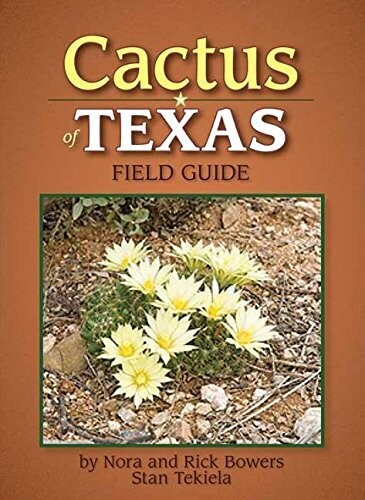 Cactus of Texas 32123