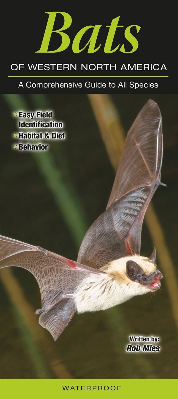 Bats of Western North America Folding Guide