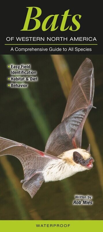 Bats of Western North America Folding Guide 299