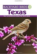 Backyard Birds of Texas 603511