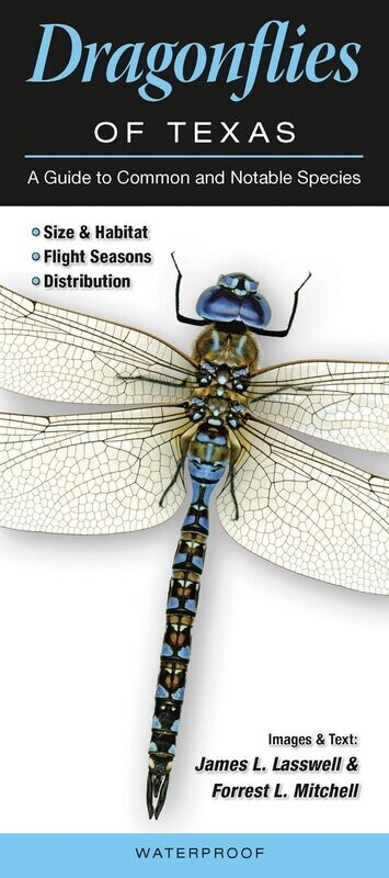 Dragonflies of Texas Folding Guide 167