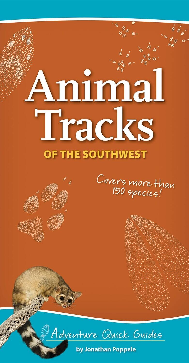 Animal Tracks of the Southwest 35872