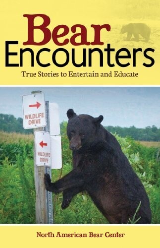 Bear Encounters 33847