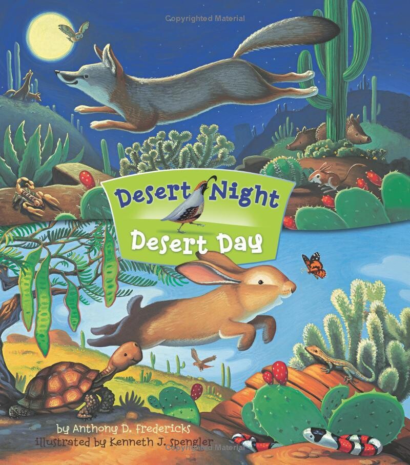 Desert Night Desert Day 5707