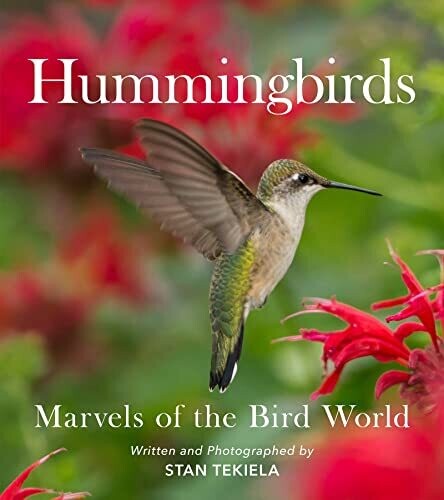 Hummingbirds Marvels of the Bird World 52466