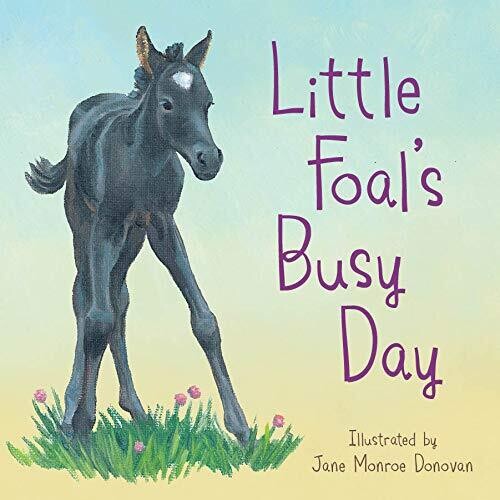 Little Foal's Busy Day 10687