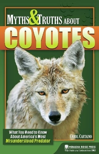Myths & Truths About Coyotes 26940