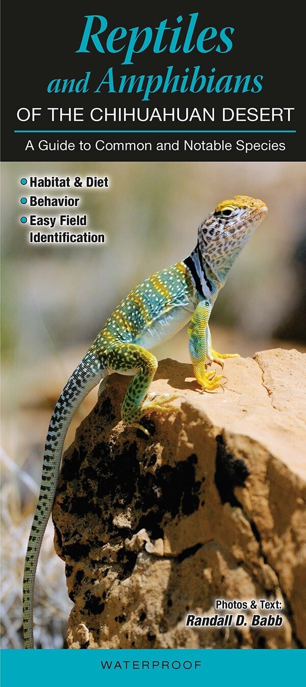 Reptiles & Amphibians Chihuahuan Desert Folding Guide 224