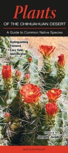 Plants of Chihuahuan Desert Folding Guide 168