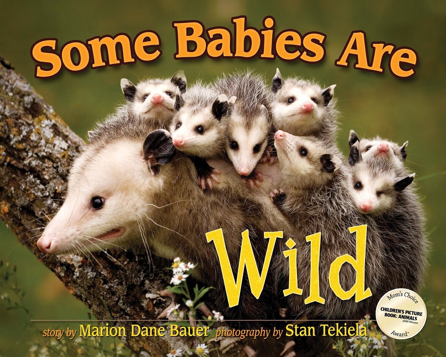 Some Babies Are Wild 30846
