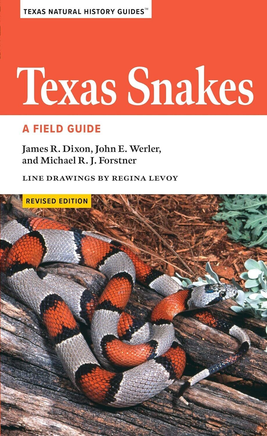 Texas Snakes 20419