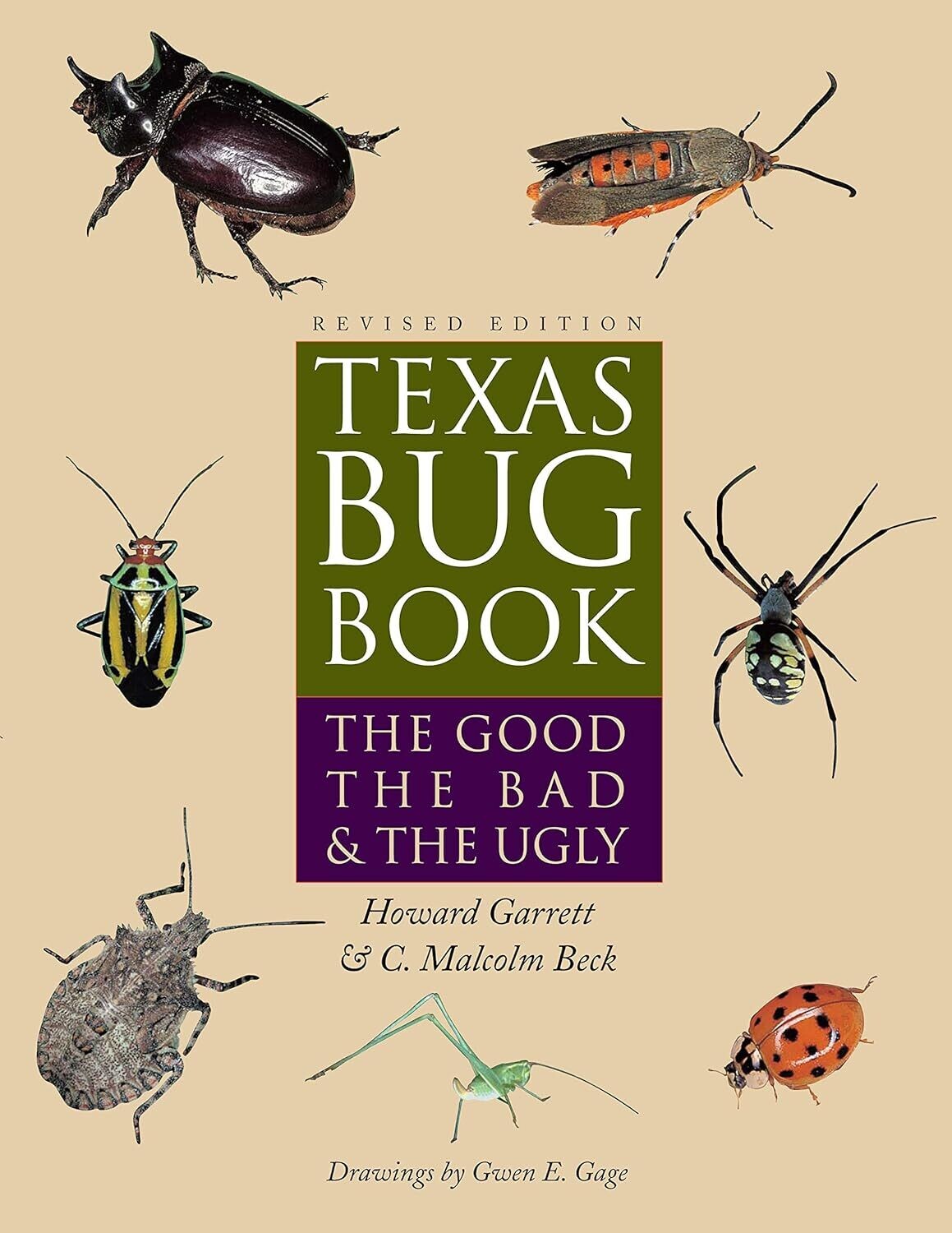 Texas Bug Book 09379