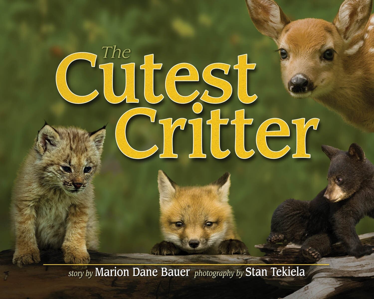 The Cutest Critter 32536