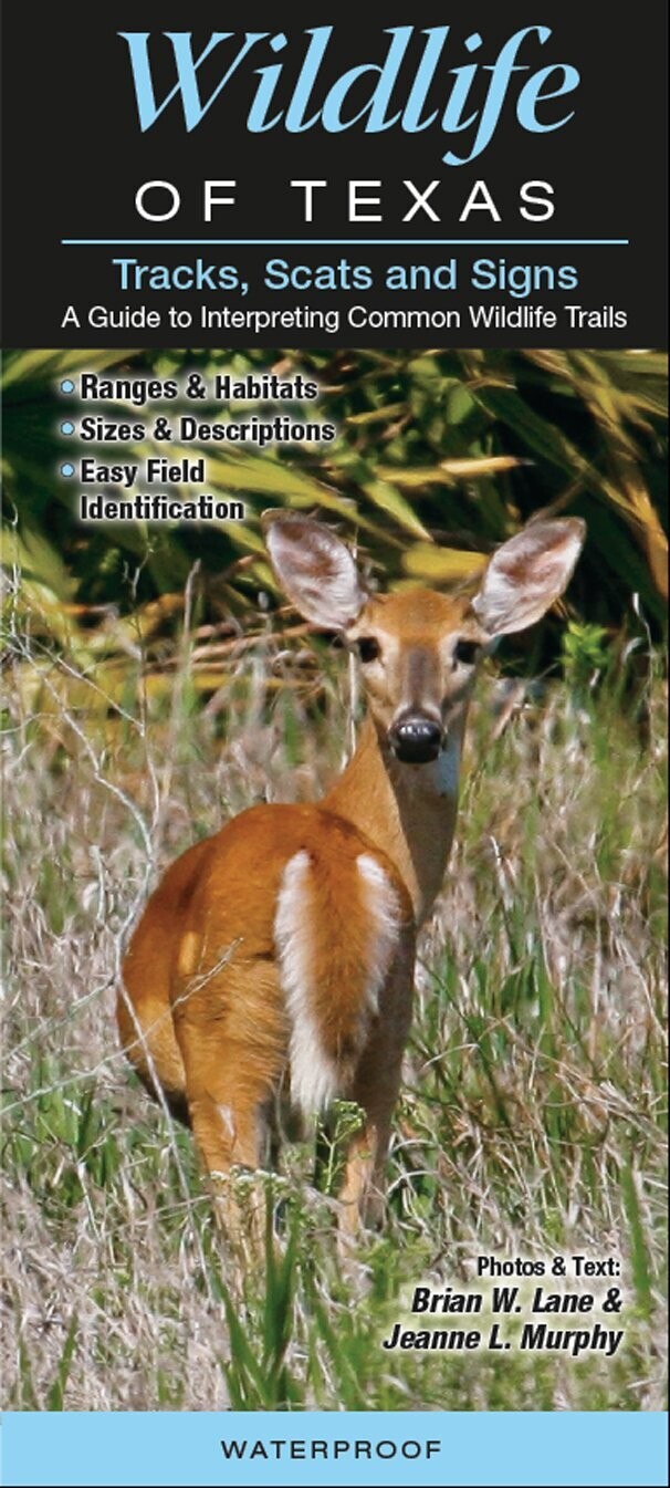 Wildlife of Texas Folding Guide 166