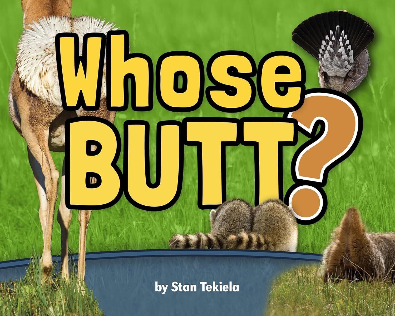 Whose  Butt 33748