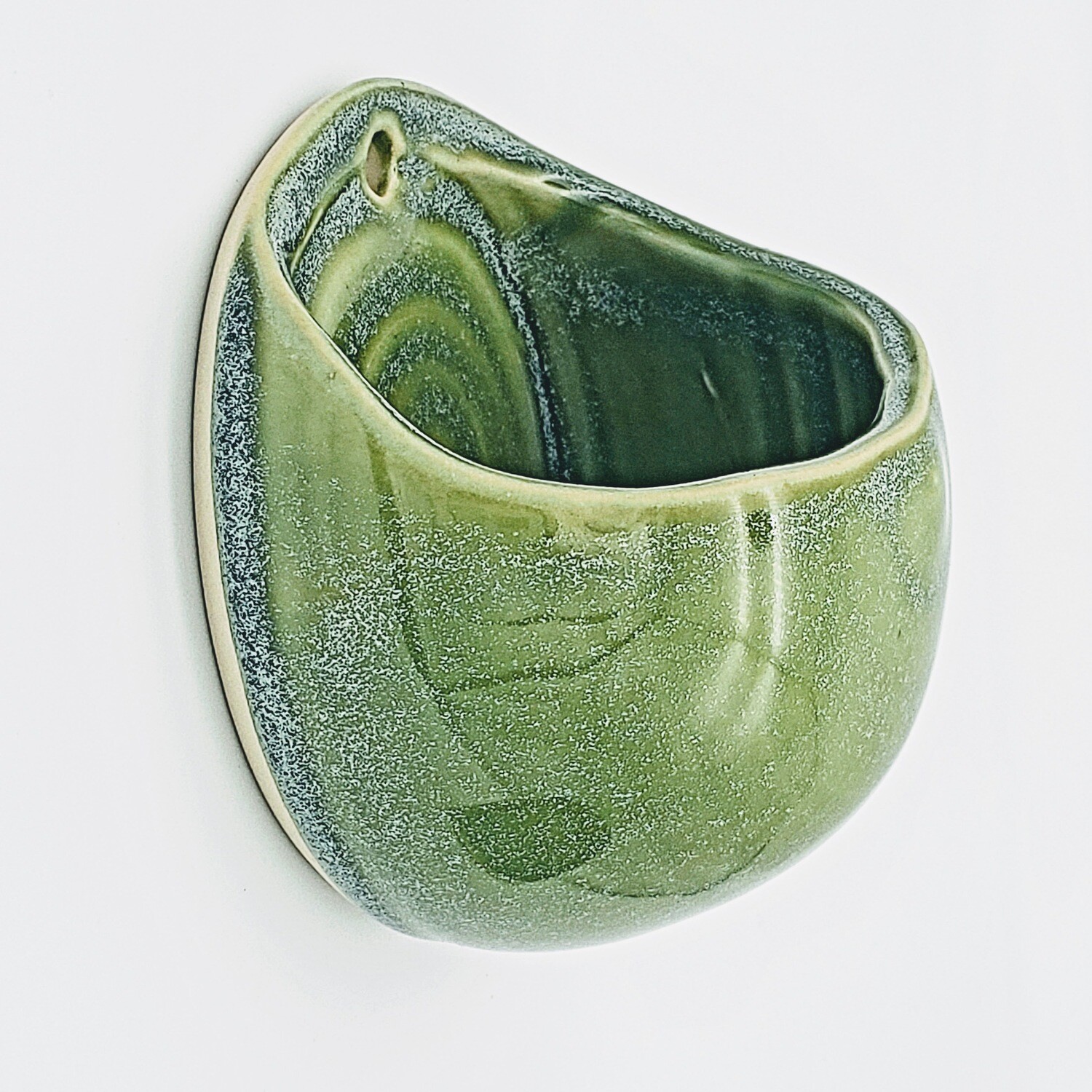 Succulent Wall Planter, color: green