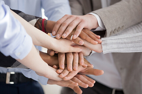 EARLY BIRD PROFESSIONALS MEMBERSHIP EARLY BIRD PROFESSIONALS MEMBERSHIP