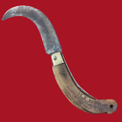 Antico Coltello Roncola manico in corno biondo 1850 circa 27 cm