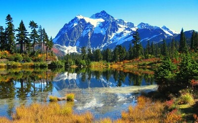 Nature Series