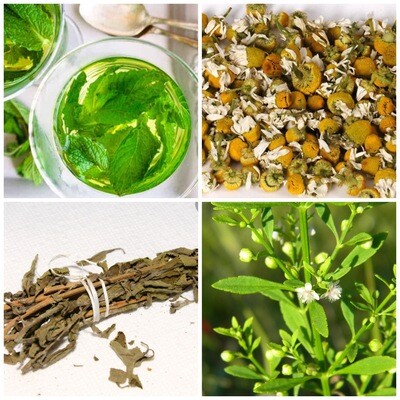 Bush Tea (Herbal Teas)