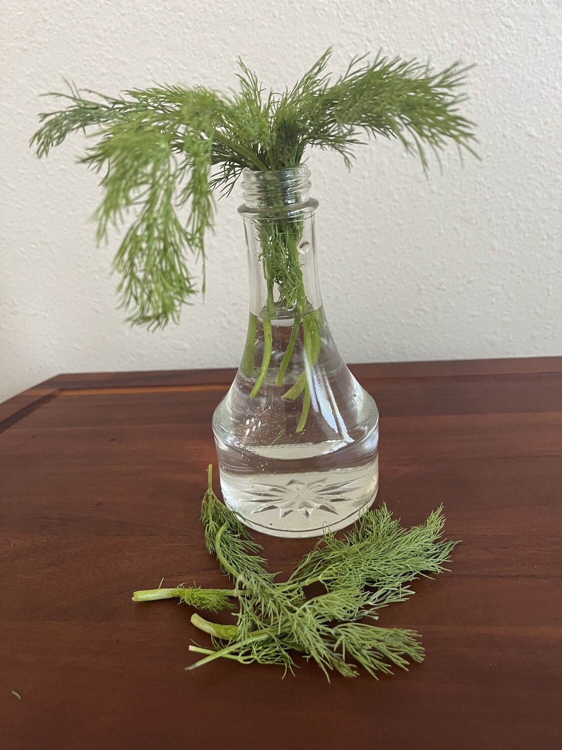 Dill Leaves