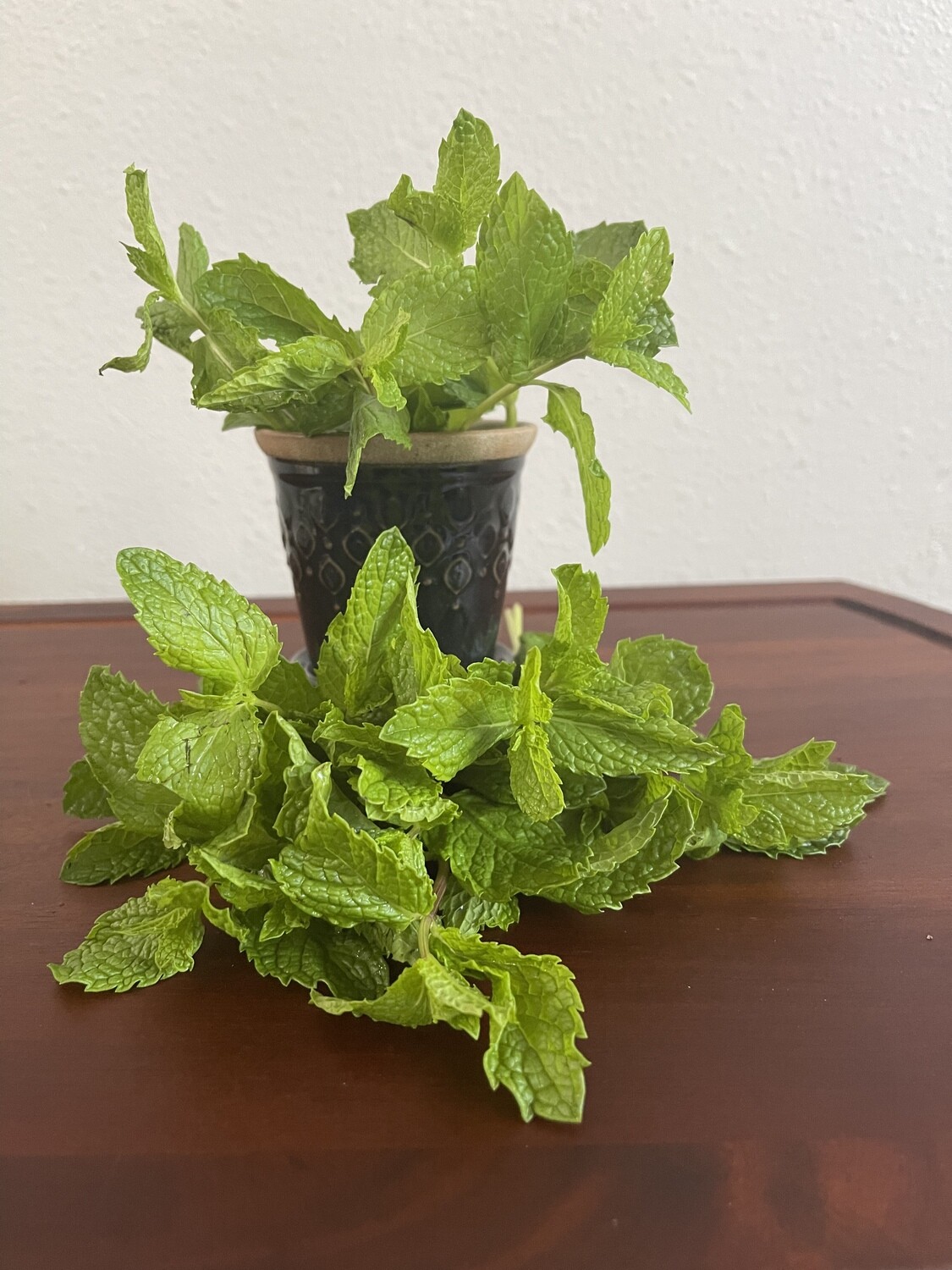 Dry Mint Leaves