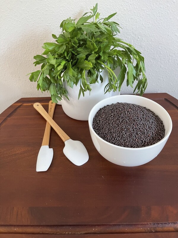 Black Mustard Seed