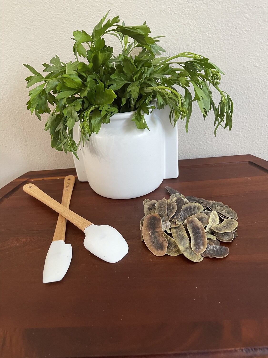 Senna Pods