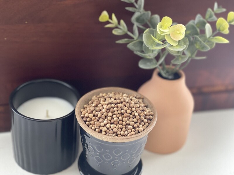 Coriander Seed