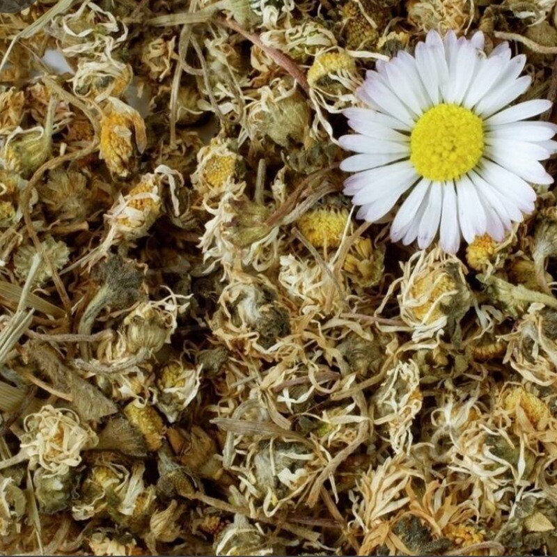 Daisy Tea