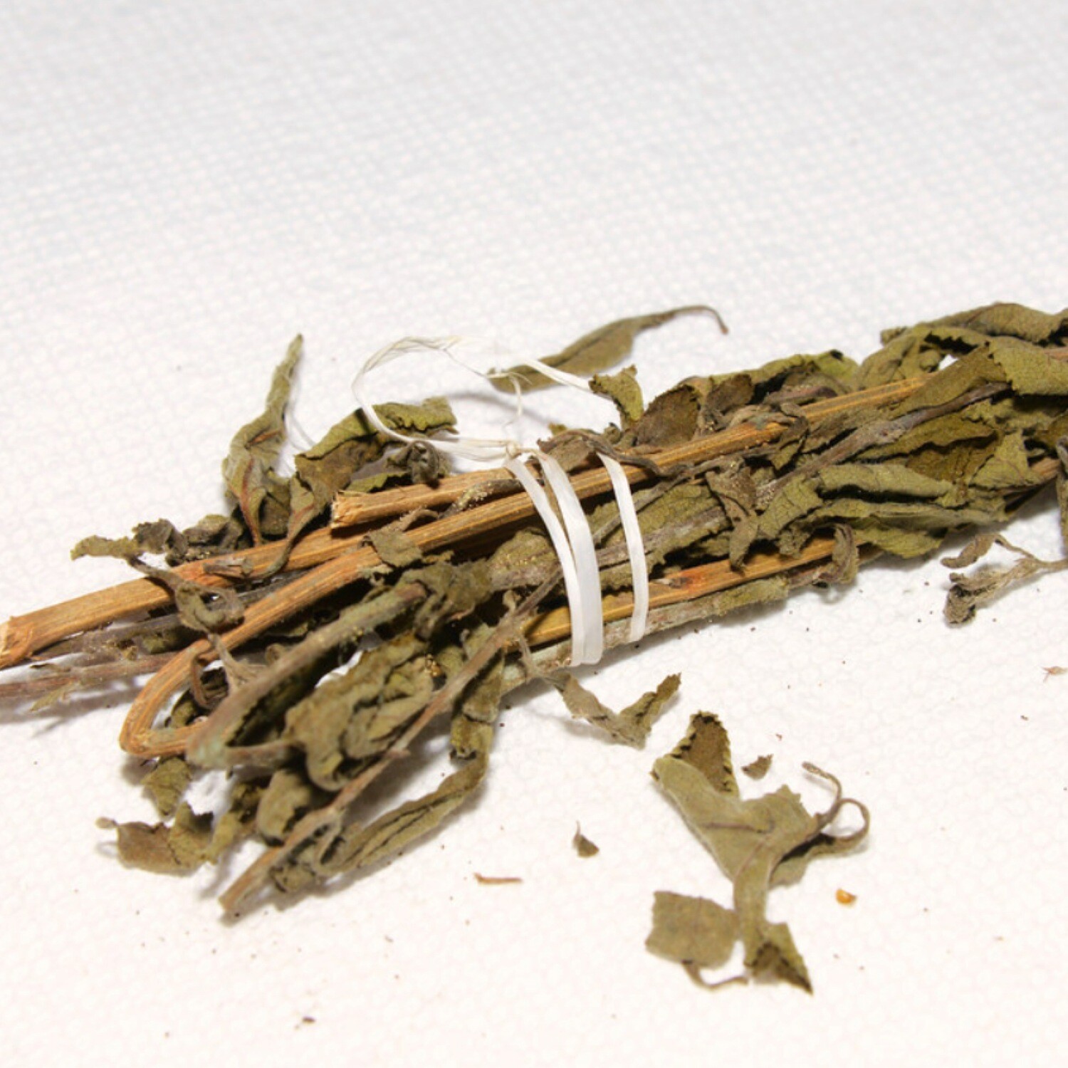 Teseum Tea