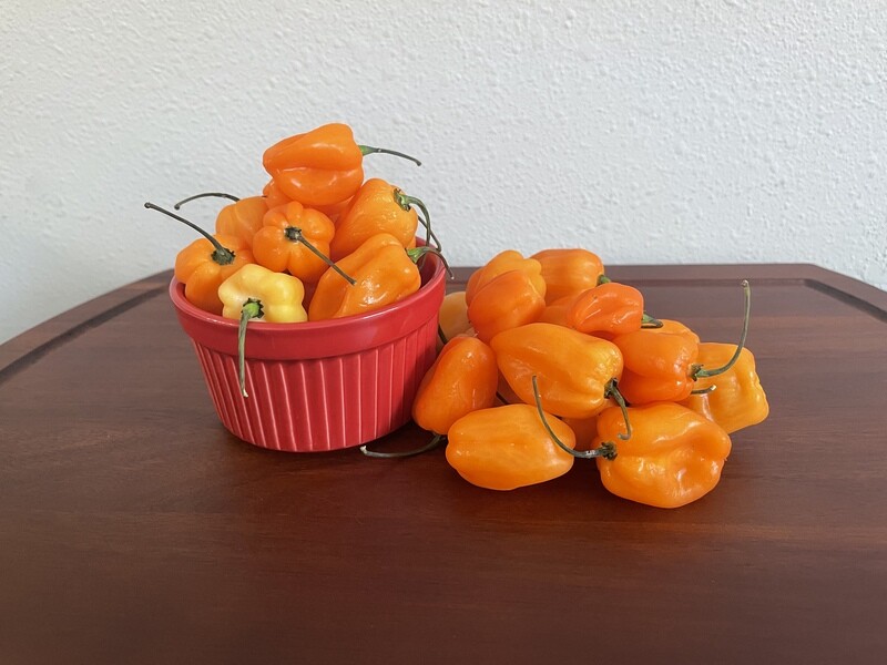 Habanero Hot Sauce Box