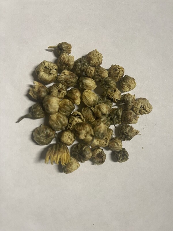 Chrysanthemum Tea