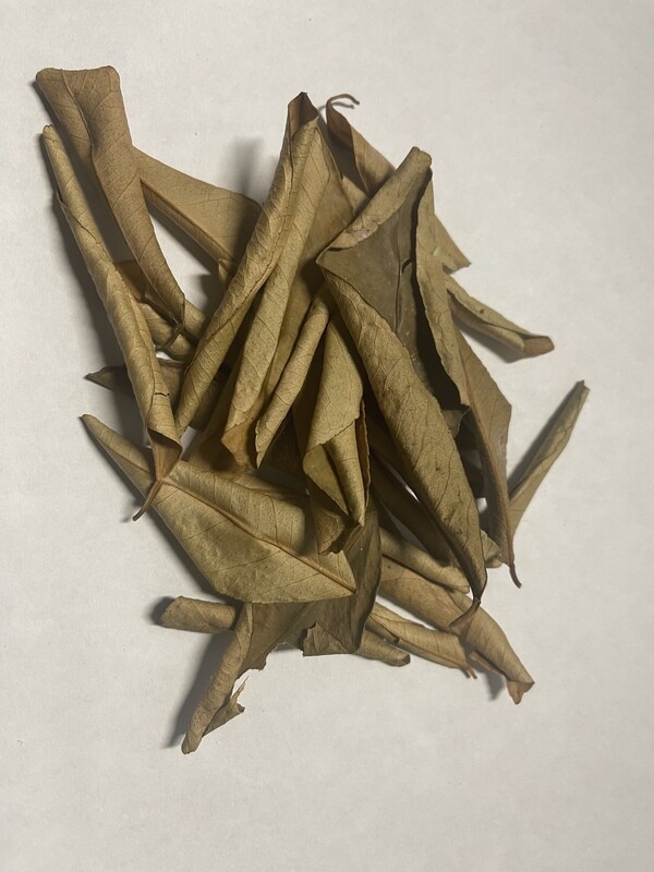 Lime Leaf Tea