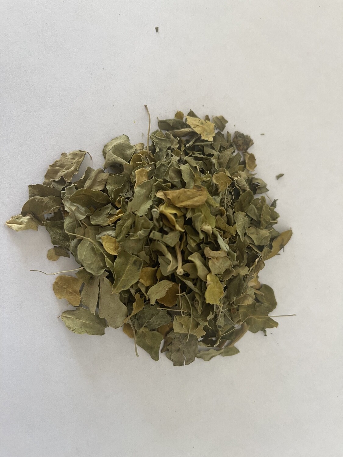 Moringa Tea