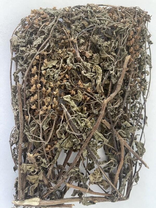 Tulsi Tea