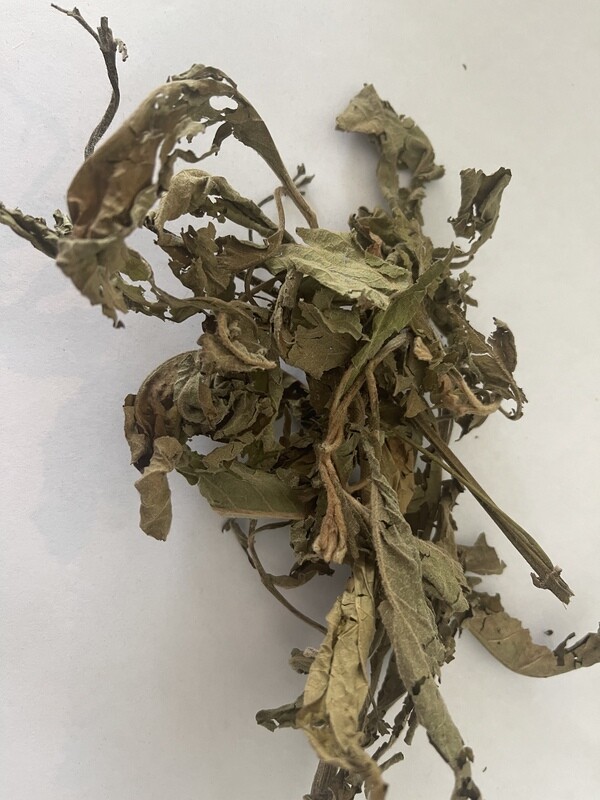 Cure for All Tea